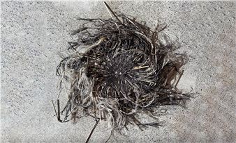 Toiora: Ki te Pō ki te Ao - Pataka Art + Museum