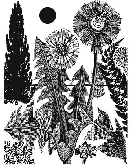 Come Together - Van Horn