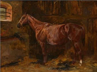 Caledonia - Georg Koch