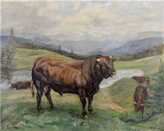 Oxen grazing - T. Bittger