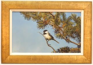 &quot;Chickadee&quot; - Richard Mravik