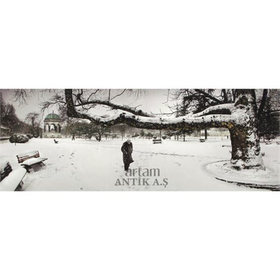 "Old Man By The Plane Tree, İstanbul" by Nuri Bilge Ceylan, 2004