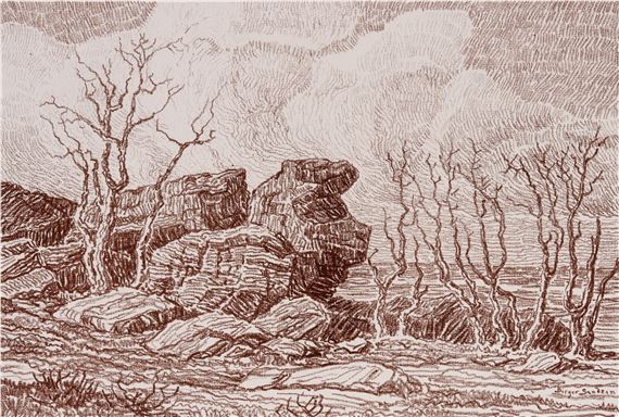 Top of Salemsborg Hill