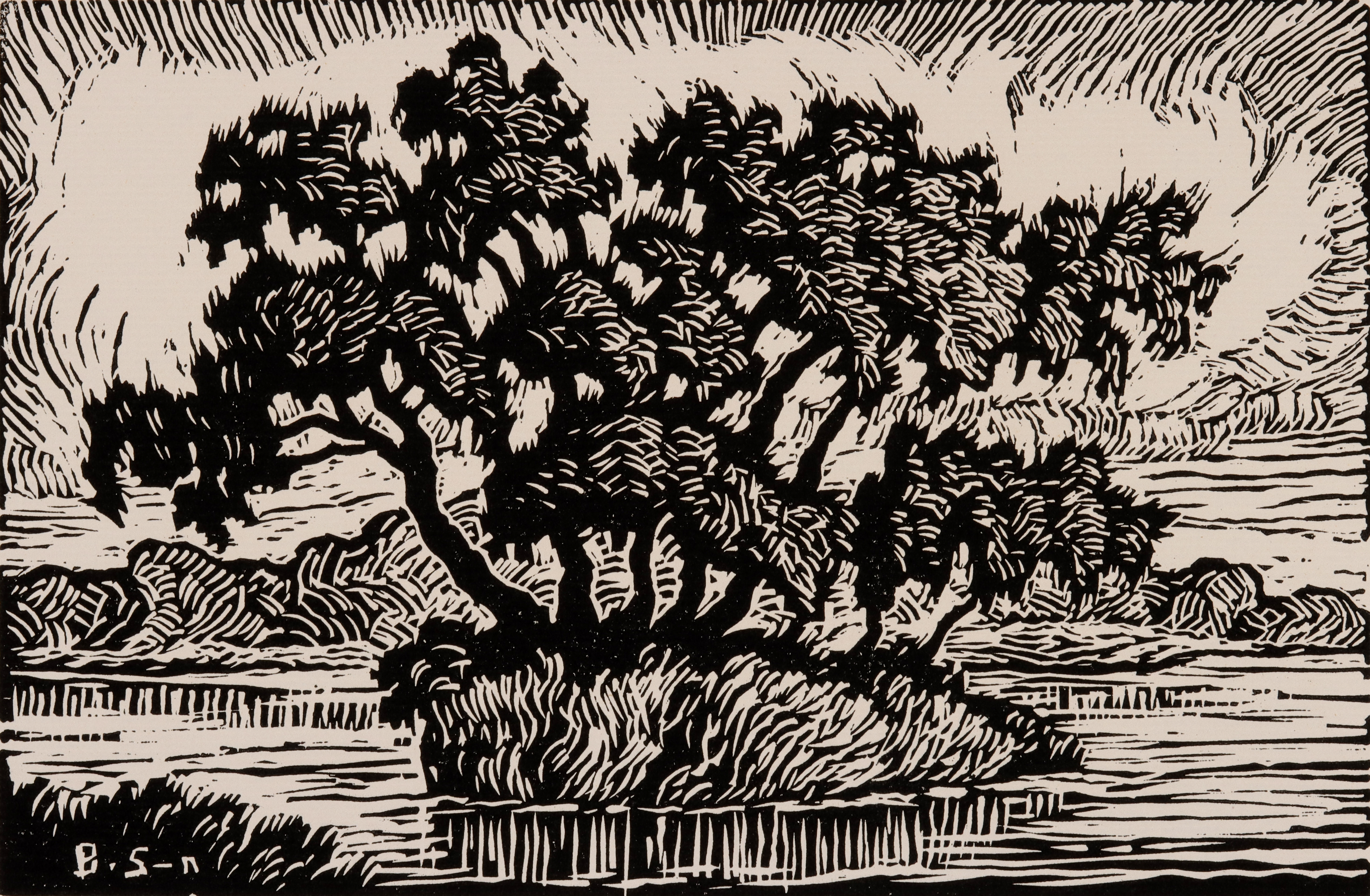 Artwork by Birger Sandzén, Pond with Willows, Made of LINOCUT