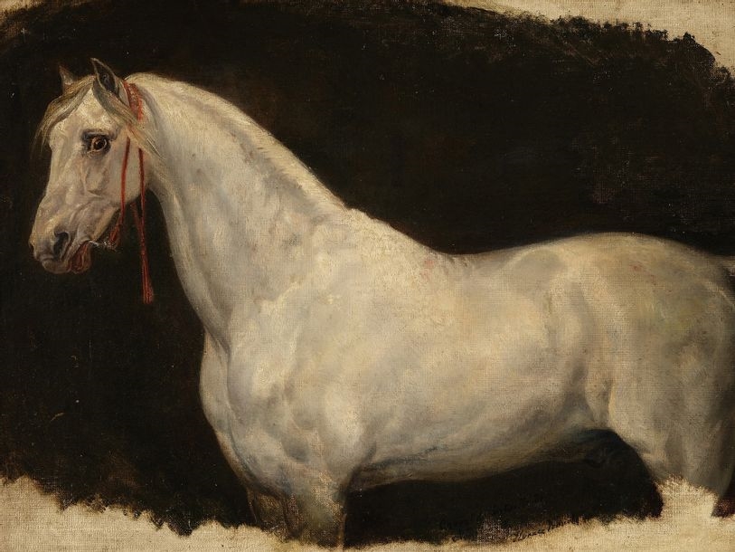 Artwork by Horace Vernet, Warhorse of Napoleon I, Made of oil on canvas