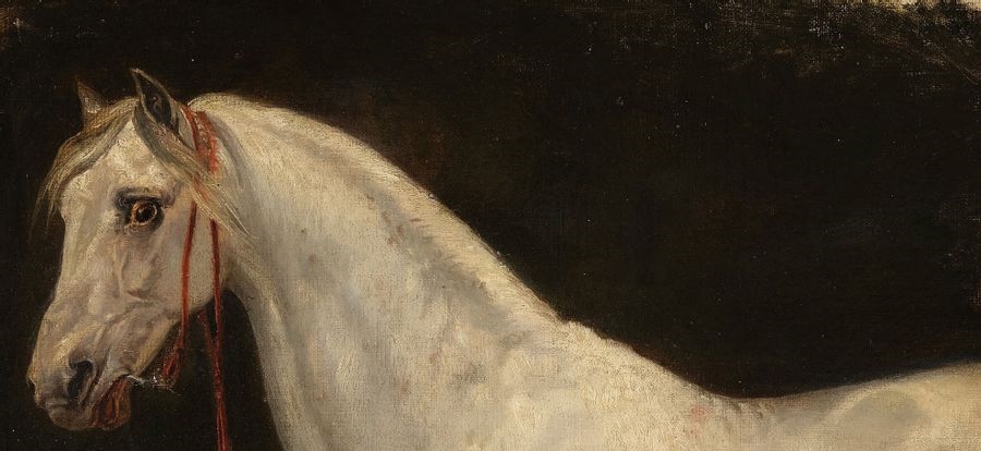 Artwork by Horace Vernet, Warhorse of Napoleon I, Made of oil on canvas