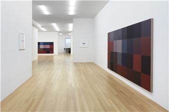 Gili Tal: You May See Butterflies: Elephant Springs - Galerie Buchholz, New York