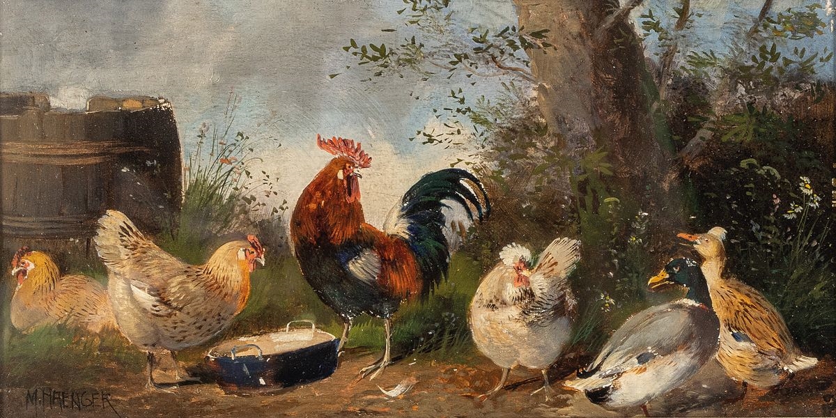 Max Hänger | Fürstenfeldbruck, rooster, chickens and ducks on the farm ...