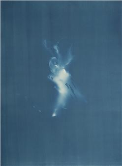 Janelle Lynch: Endless Forms Most Beautiful - Flowers, London (Kingsland Road)