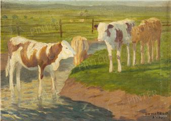 Cows - Róbert Demeter