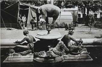 Éléphant au Luxembourg, Paris, 1975 - Daniel Lebée