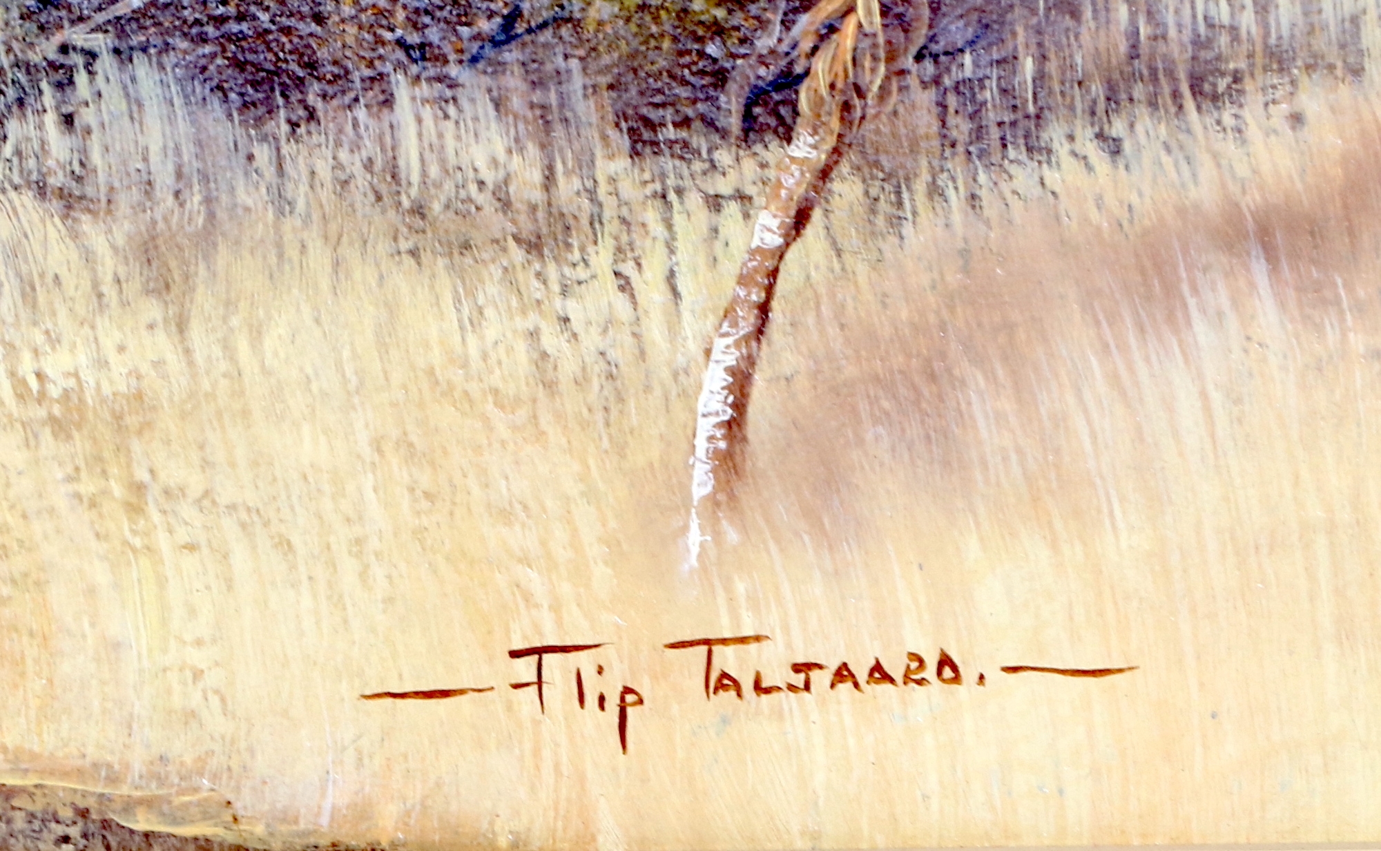 Artwork by Flip Taljaard, FISH EAGLE, Made of oil on board