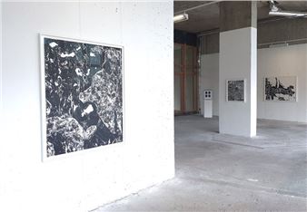 Aoife Shanahan: BioTrace - Green On Red Gallery