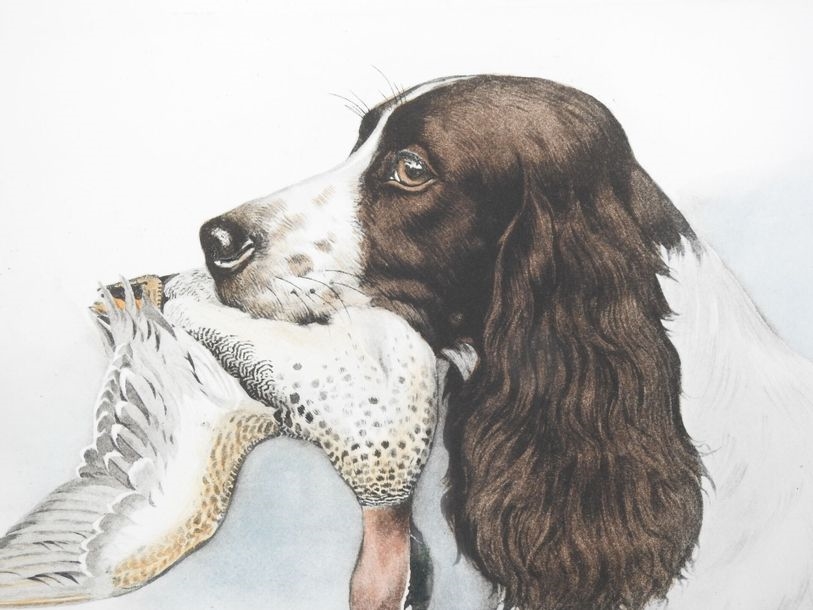 Boris Riab | Setter with a duck | MutualArt