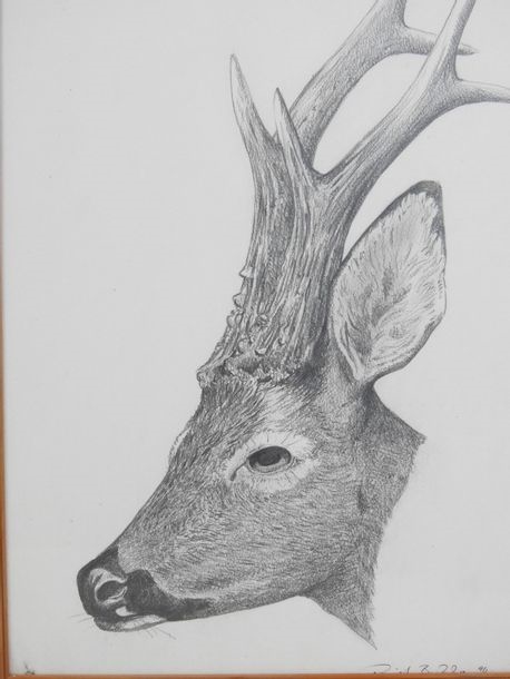 Artwork by Daniel Beddare, 20th Century, Deer brocade, Made of graphite