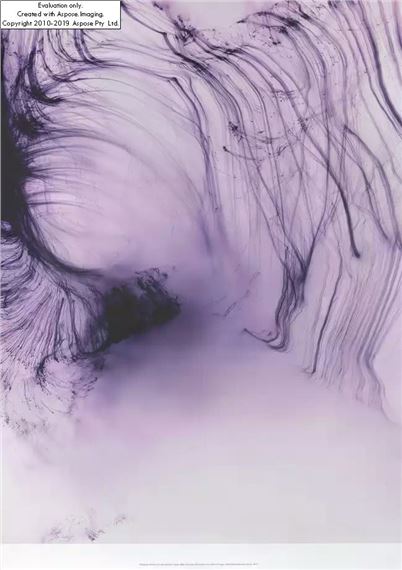 Wolfgang Tillmans | It