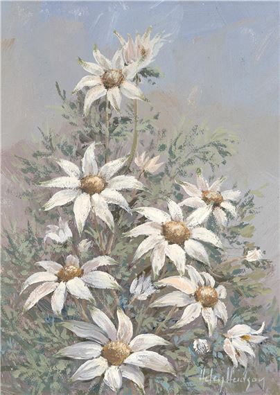 Flannel Flowers by Helen Hudson