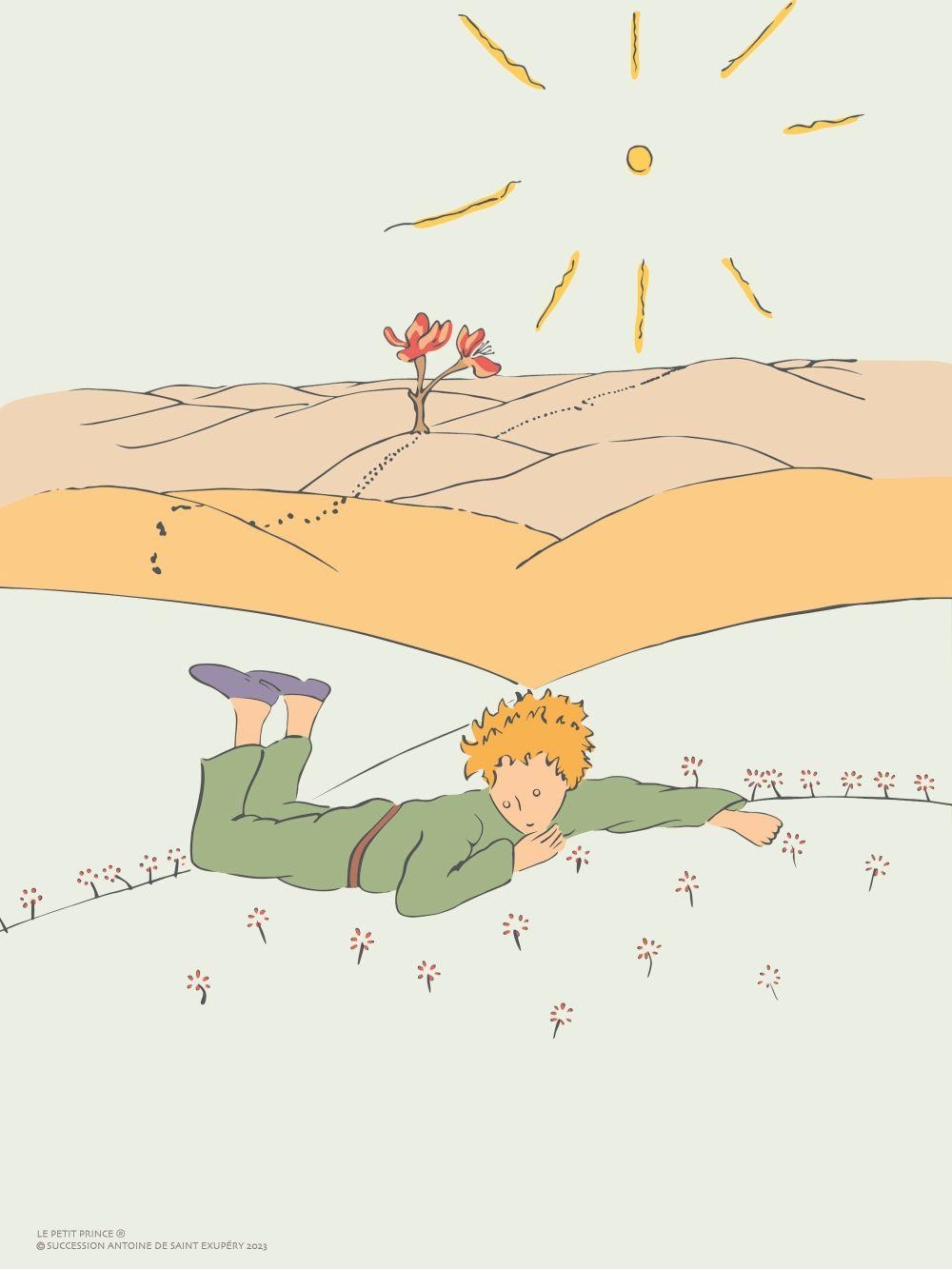 Le Petit Prince dans le désert by Antoine de Saint-Exupéry