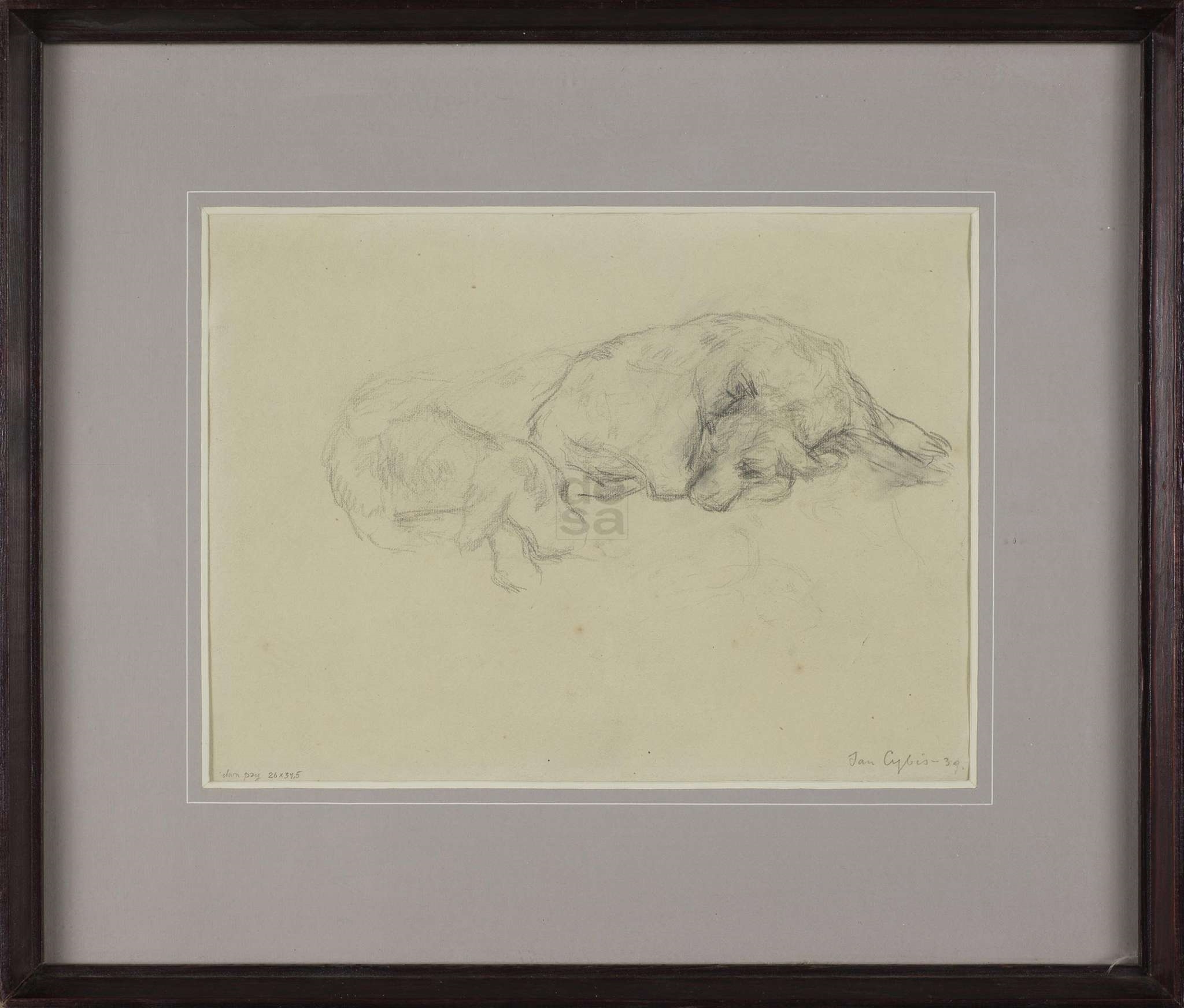 Jan Cybis | DWA PSY - RYSUNEK DWUSTRONNY, 1939 | MutualArt