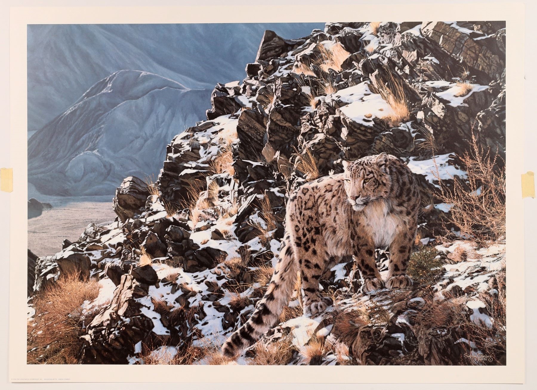 Simon Combes | Cats of the Snow Deluxe Prints by Simon Combes (1995 ...