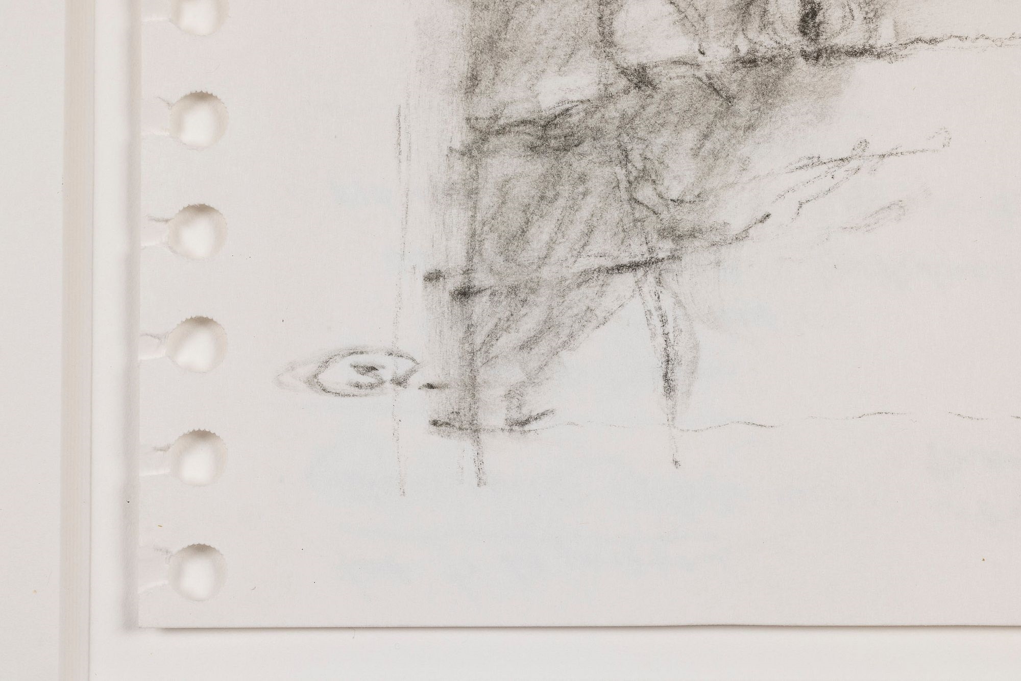 Artwork by September Vhay, Sketches of Birds, Made of Charcoal