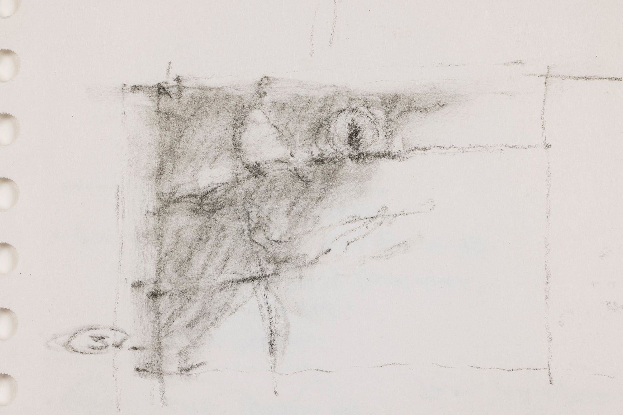 Artwork by September Vhay, Sketches of Birds, Made of Charcoal