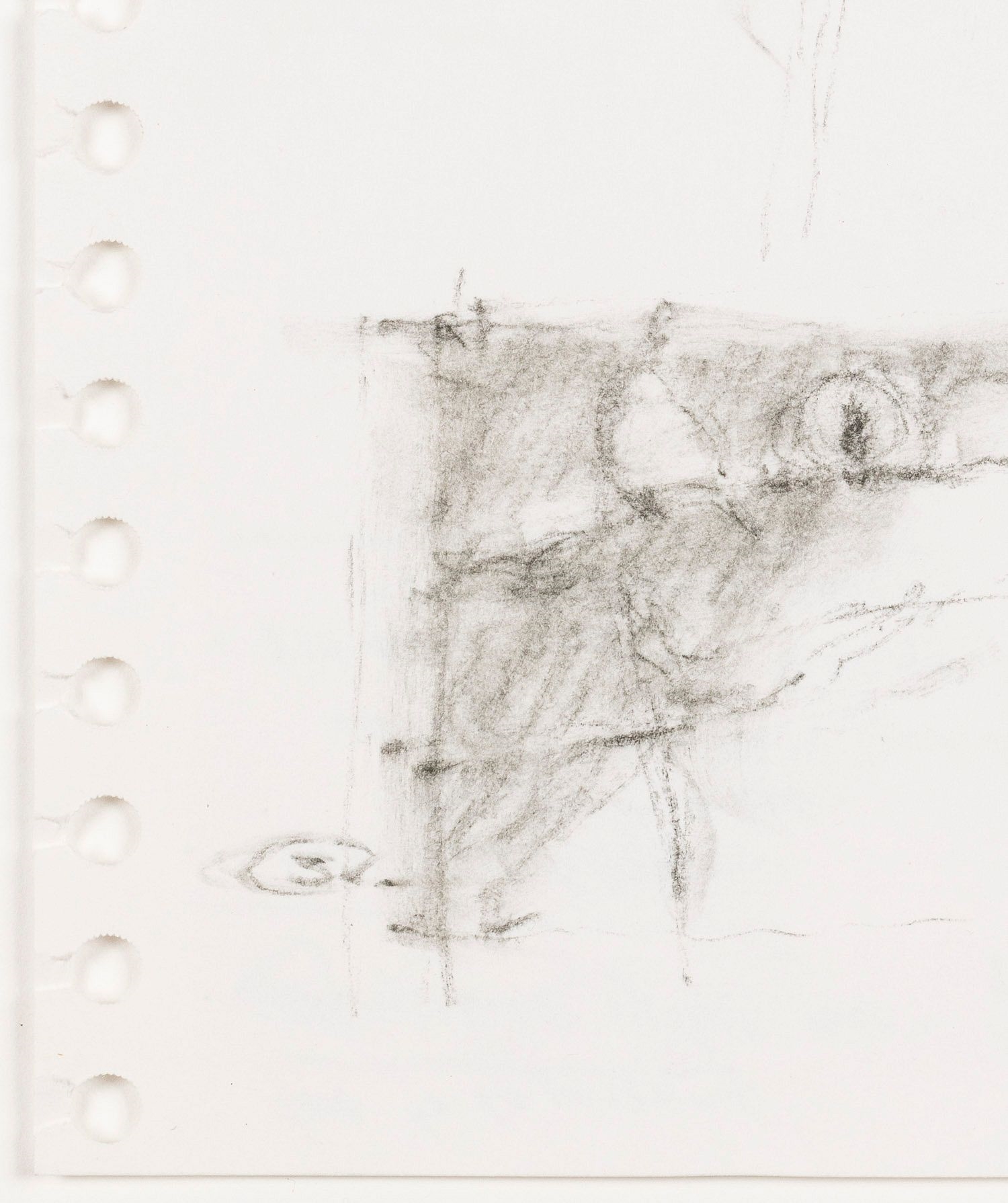 Artwork by September Vhay, Sketches of Birds, Made of Charcoal