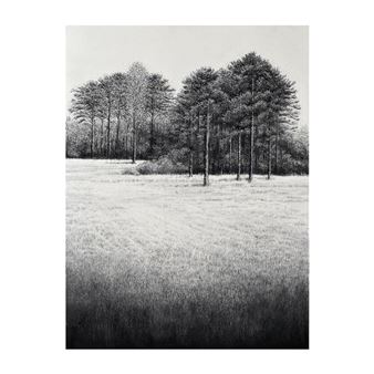 Regeneration' - Sorca O'Farrell