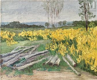 Paysage aux fleurs jaune - Maria Martelli