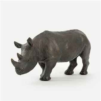 A Rhino - Leo Wirth