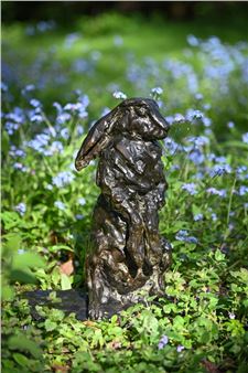 LIÈVRE ASSIS - Guido Righetti