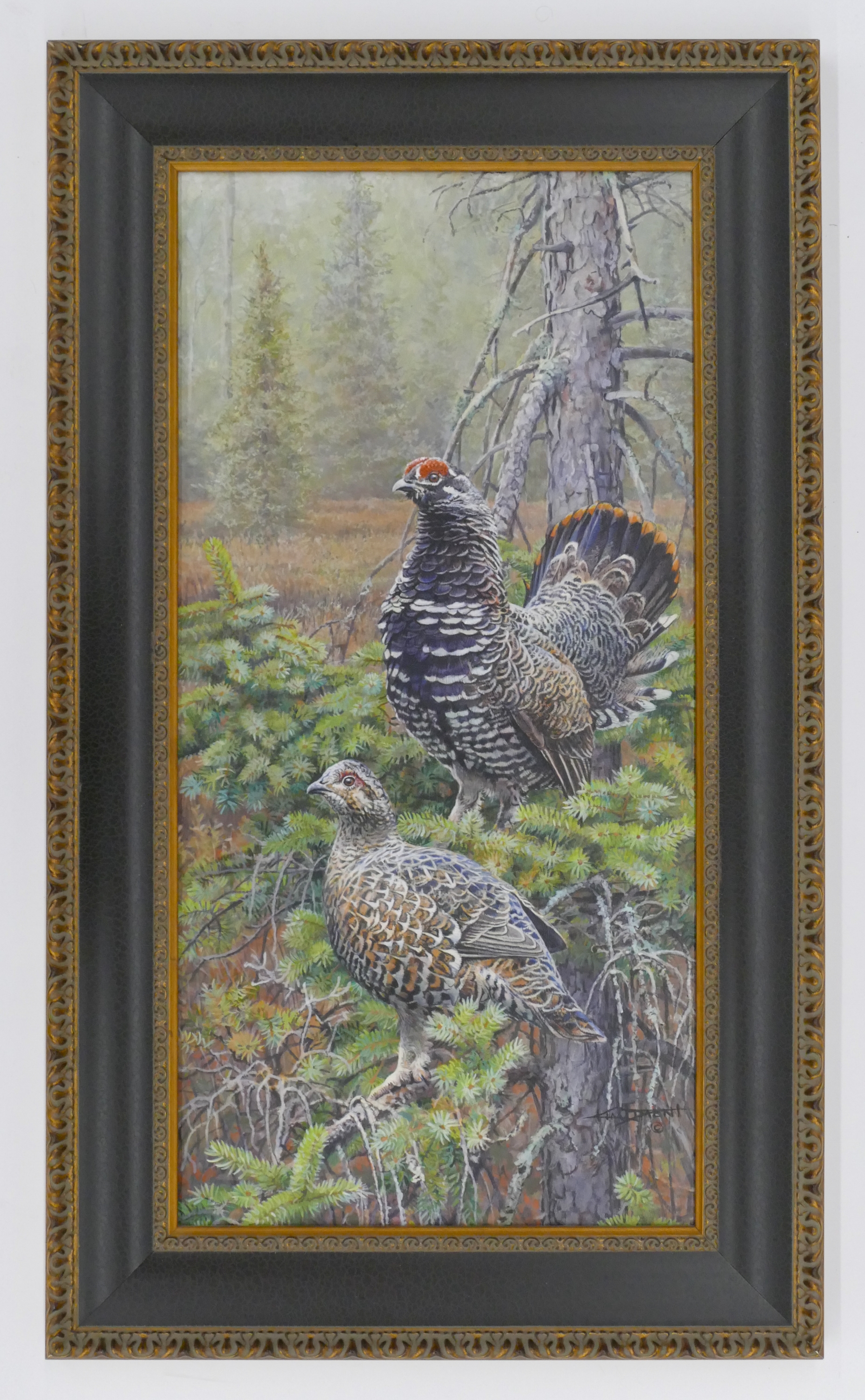 Kim Diment | Spruce Grouse in North Country Trail | MutualArt