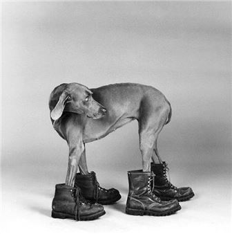 Best Friends III: The Dog As Subject In Fine Art Photography - The Grace Museum