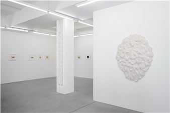 Tinus Vermeersch: Fragments - Hopstreet Gallery, Brussels