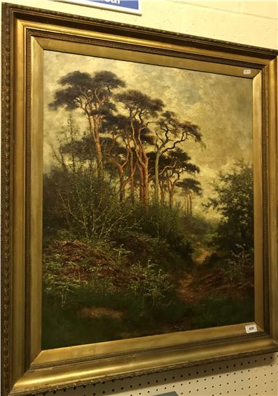 Woodland path by J. McIntyre