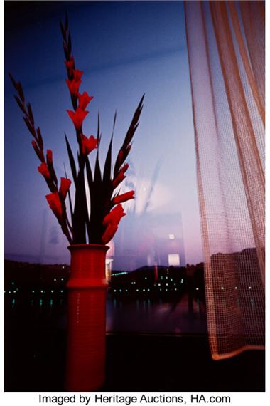 Budapest - Marissa Roth