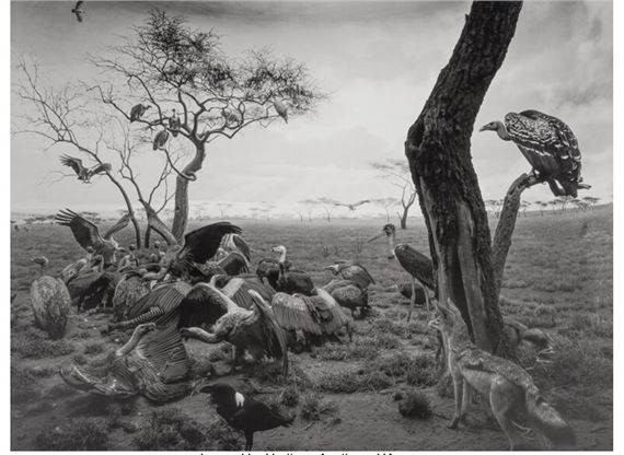 杉本博司 ポスター 『Hyena-Jackal-Vulture』 HIROSHI SUGIMOTO (B