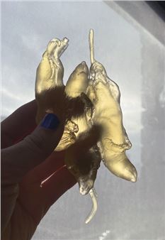 Fleshing Out The Ghost - Deborah Schamoni