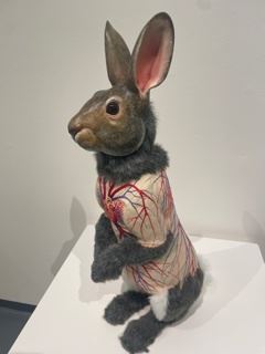 Inspired Lagomorphs: Rabbits and Hares in Contemporary Craft Exhibition Opens at Fuller Craft Museum