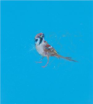 Dave White: A beautiful day - Hang-Up Gallery