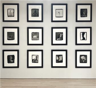 Tyler Shields: The Platinum Palladium Portfolio - Guy Hepner 