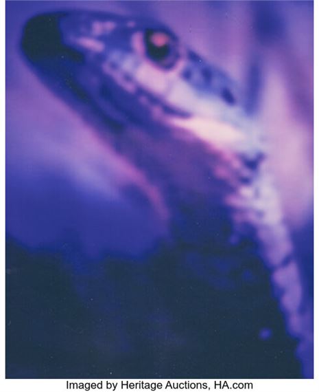 Robert Stivers | Group of 4 Photographs | MutualArt