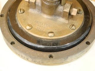 Artwork by Darcy Gould, Untitled, Made of Bronze & Copper