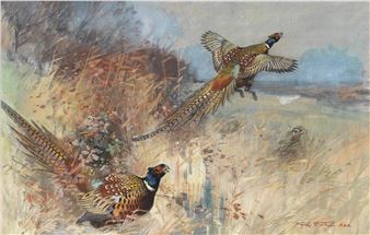 'Pheasants Breaking cover' - Frank Southgate