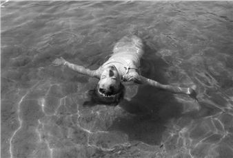 ONLINE: Mark Steinmetz: Summer Camp - Joseph Bellows Gallery, La Jolla