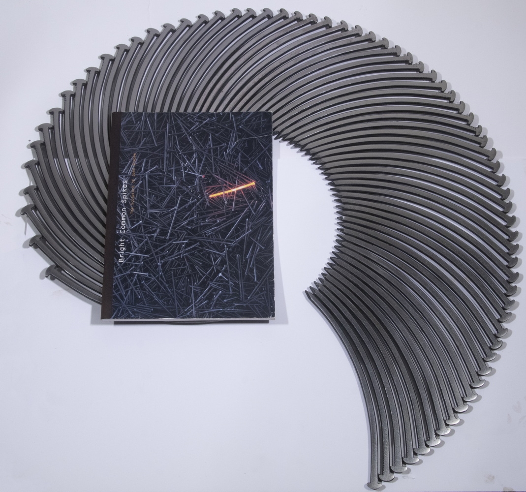 Artwork by John Bisbee, Nautilus, Made of welded and polished nails