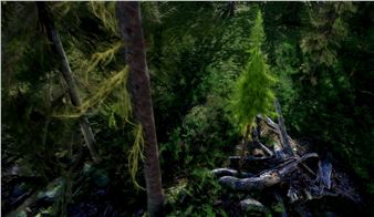 Eloïse Bonneviot & Anne de Boer: Tracing a Seeping Terrain - Heidelberger Kunstverein (HdKV)