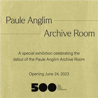 Launch of the Paule Anglim Archive Room - The David Ireland House / 500 Capp Street Foundation