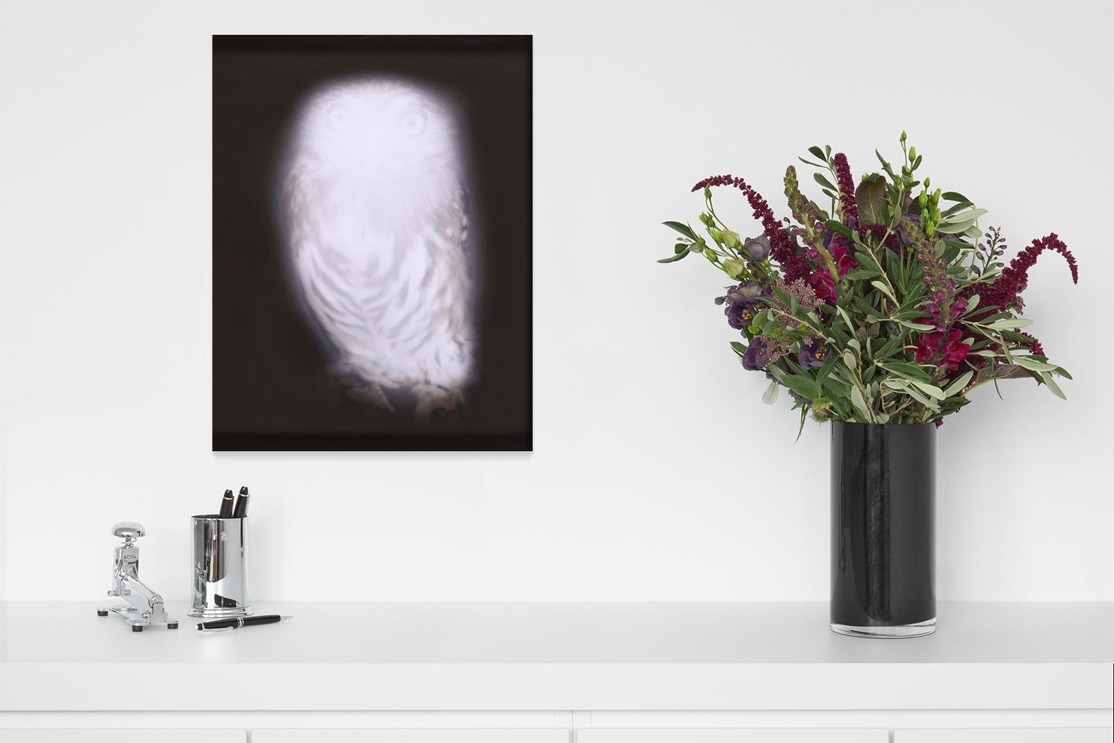 Artwork by Anna Vogel, Smiling Barn Owl III., Made of Inkjet - print
