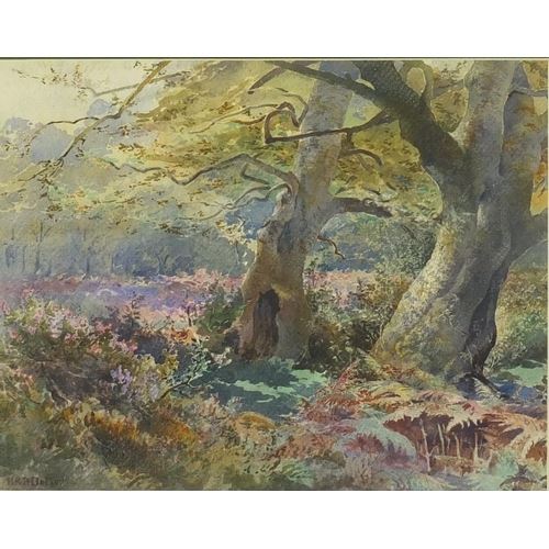 A study in the New Forest by Henry Richard Beadon Donne